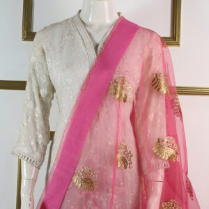 Organza Embroidery Bunch Dupatta