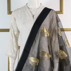 Organza Embroidery Bunch Dupatta